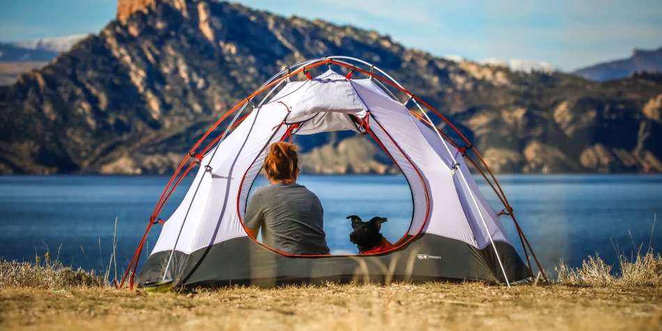 Eine Frau campt mit einem Hund an einem See-1