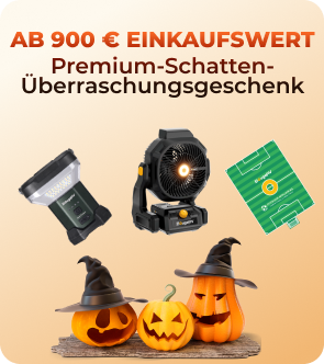Überraschungsbox Ab 900 €