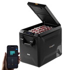 BougeRV Neuer ASPEN S50 12V 47 L tragbarer Kühlschrank (Ohne Rollen)
