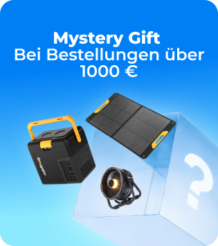 Mystery Gift