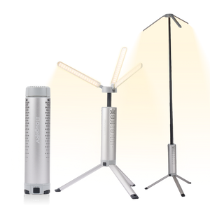 BougeRV Neue T1 tragbare teleskopische Campinglampe (Silber)